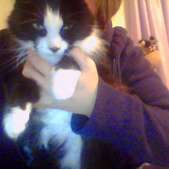 Meet your Posher, Julia - Picture 1 of 1